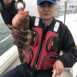 遊漁船メテオ 釣果