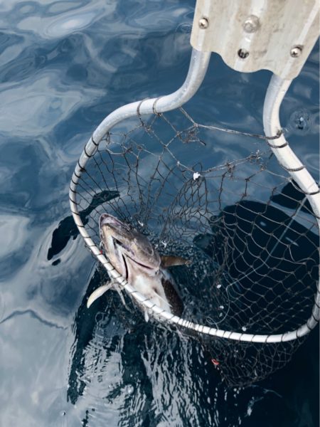 山正丸 釣果