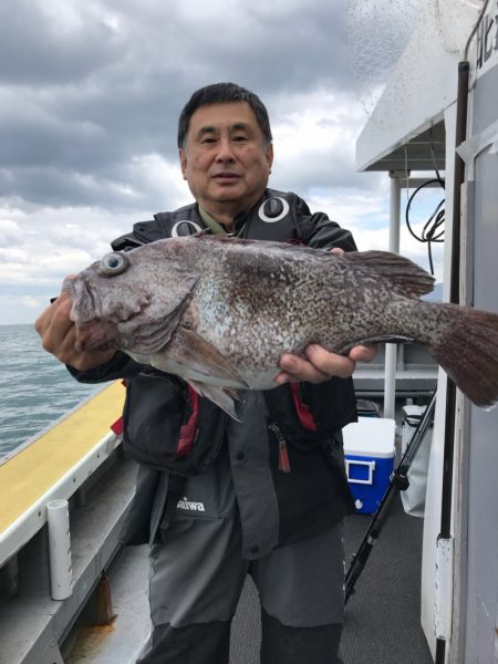 シーランチ 釣果