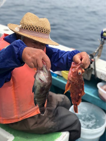 丸万釣船 釣果