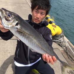 エヌスタイル 釣果