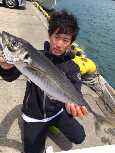 エヌスタイル 釣果