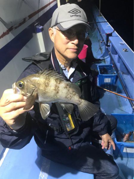 ヤザワ渡船 釣果