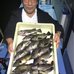 ヤザワ渡船 釣果