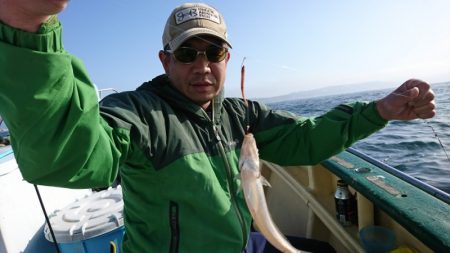 島きち丸 釣果