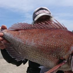 第三共栄丸 釣果