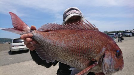 第三共栄丸 釣果