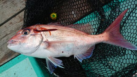 和栄丸 釣果