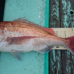 和栄丸 釣果