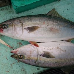 和栄丸 釣果