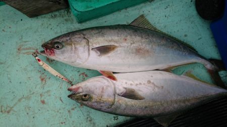 和栄丸 釣果