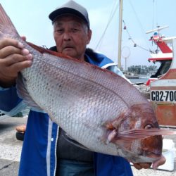 富士丸 釣果