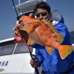 渡船屋たにぐち 釣果