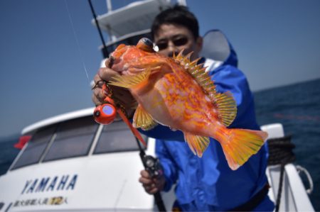 渡船屋たにぐち 釣果