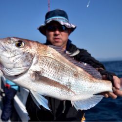 渡船屋たにぐち 釣果