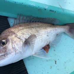 和栄丸 釣果