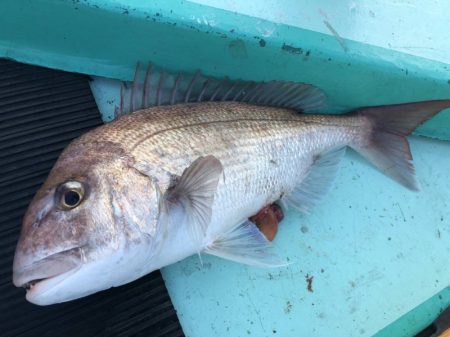 和栄丸 釣果