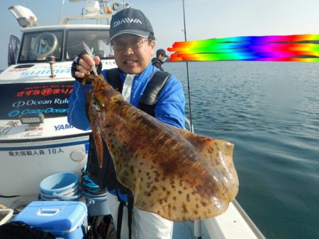 きずなまりん 釣果