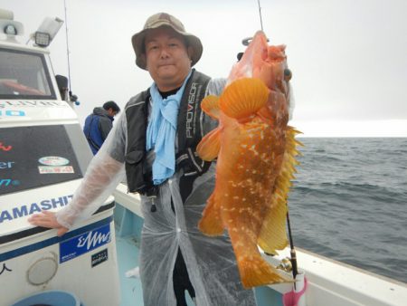 きずなまりん 釣果