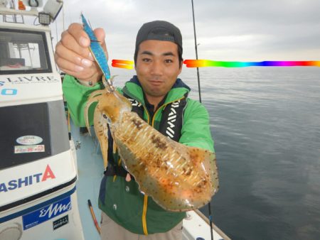 きずなまりん 釣果