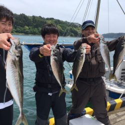 エヌスタイル 釣果