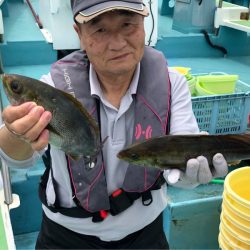 丸万釣船 釣果