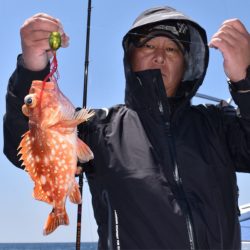 渡船屋たにぐち 釣果