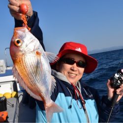 渡船屋たにぐち 釣果