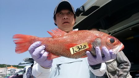 ぽん助丸 釣果