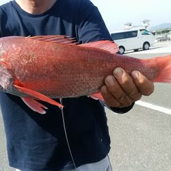 ぽん助丸 釣果