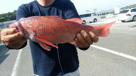 ぽん助丸 釣果