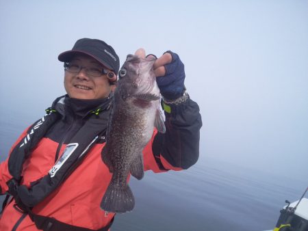 ひな丸 釣果