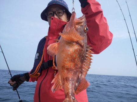 ひな丸 釣果