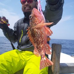 ひな丸 釣果