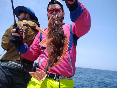 ひな丸 釣果