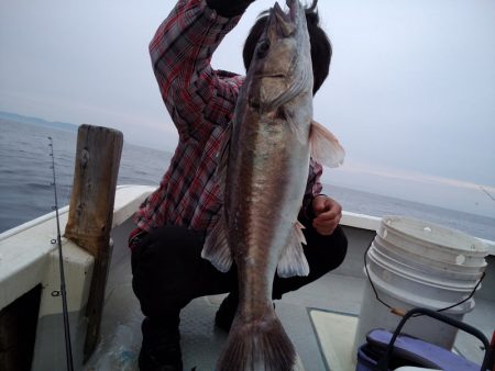 ひな丸 釣果