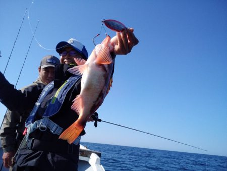 ひな丸 釣果