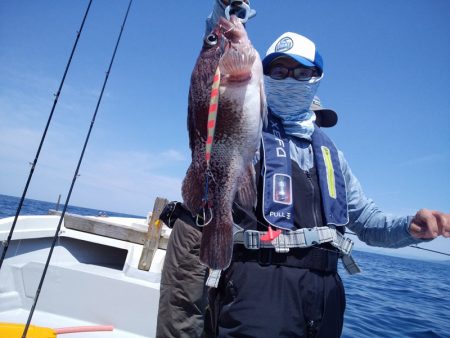 ひな丸 釣果