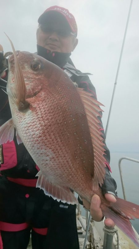 シースナイパー海龍 釣果