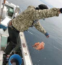 第二清洋丸 釣果