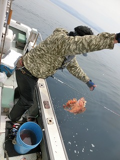 第二清洋丸 釣果