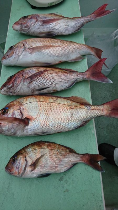 米丸 釣果