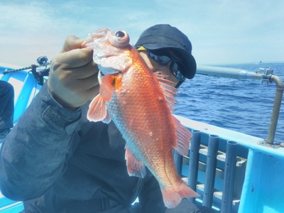 はしくに 釣果