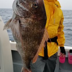 珀宝丸 釣果