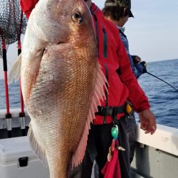 珀宝丸 釣果