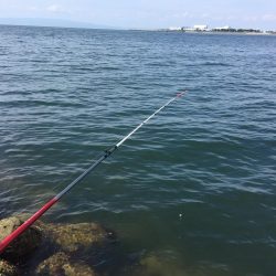 穴釣り、今日は大きめ