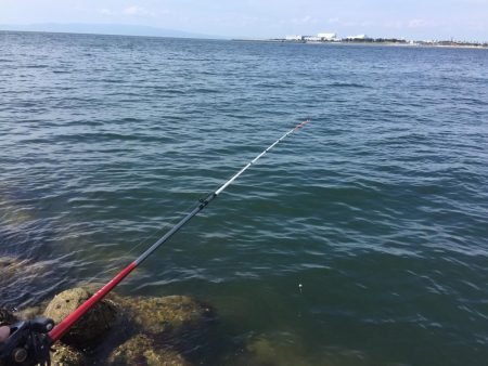 穴釣り、今日は大きめ