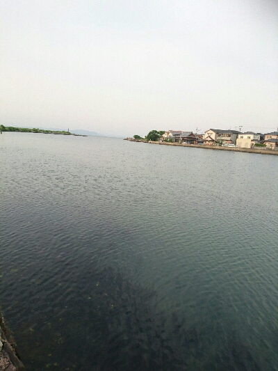 今日の釣果