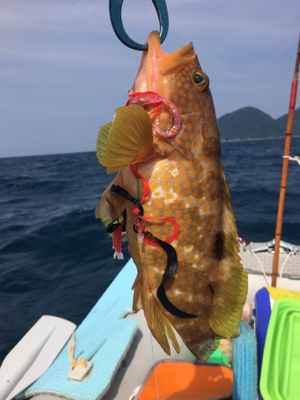 マイボートで丹後釣行