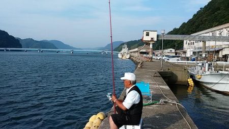 津居山漁港小島岸壁へリベンジ釣行